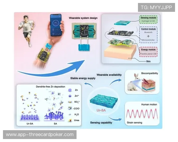 实时运动数据反馈系统辅助裁判，提高判罚准确性